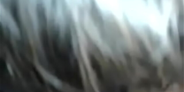 blowjob,vacation